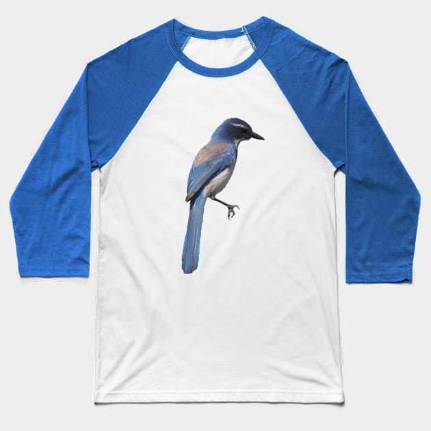 Blue Jay Baseball T-Shirt by BKMuir